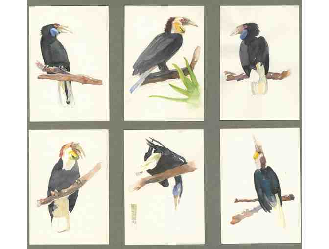 Hornbill Cards