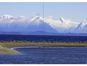 Week in Vancouver, BC- In English Bay Luxe Apartment