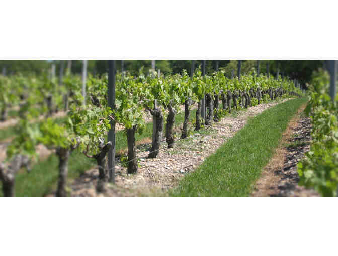 Chateau Biston 2011 Moulis