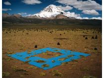Scarlett Hooft Graafland