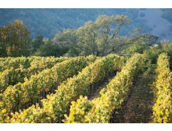 Napa Valley Getaway with Winery Tour or Cooking Class