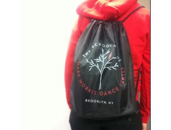 5 Dance Classes at Mark Morris - adult