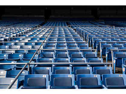 Old Yankee Stadium Seats November 2008