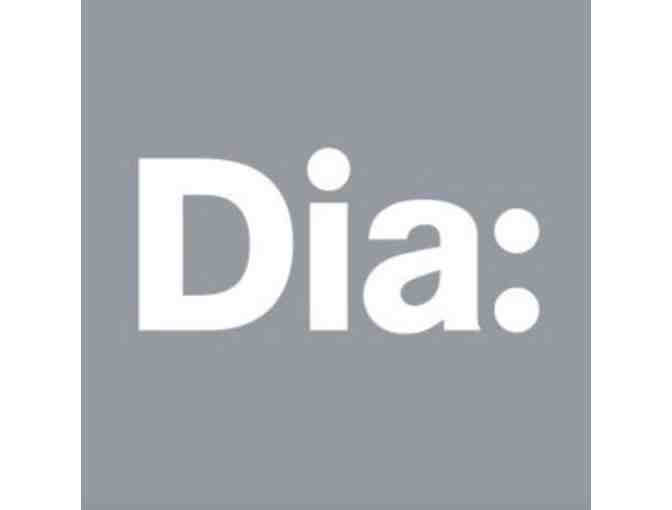 Dia Art Foundation