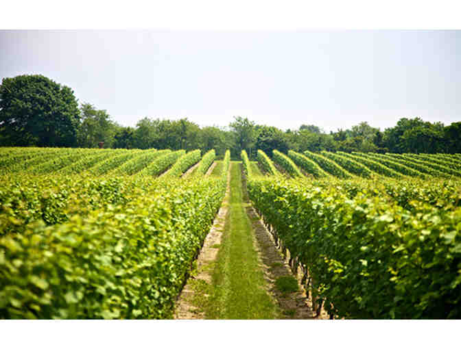 Wine Tasting & Stay in the North Fork