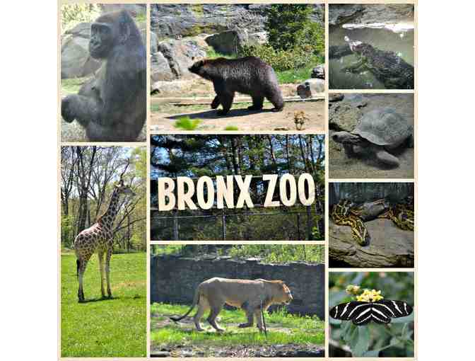 Wildlife Conservation - Bronx Zoo