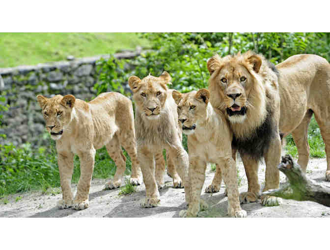 Wildlife Conservation - Bronx Zoo