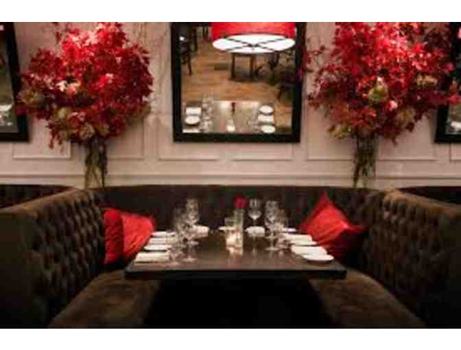 Coriander Modern Indian