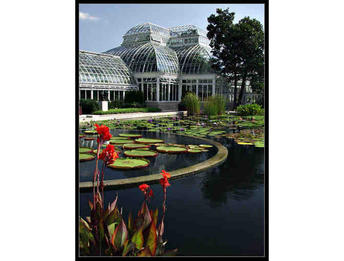 A Day at the New York Botanical Gardens