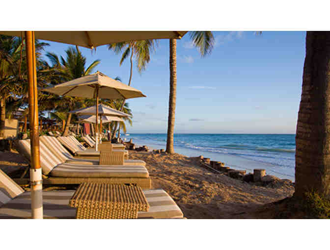 Stay at VIK hotel ARENA BLANCA or VIK hotel CAYENA BEACH, Punta Cana, Dominican Republic