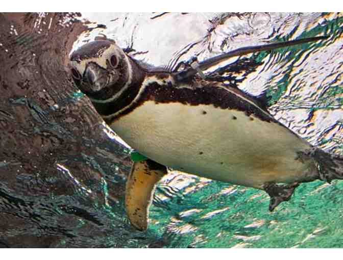 Aquarium of the Pacific