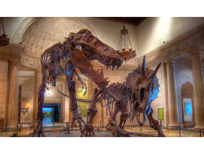 4 Guest Passes to the Natural History Museum OR Page Museum at the La Brea Tar Pits