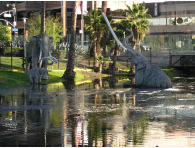 4 Guest Passes to the Natural History Museum OR Page Museum at the La Brea Tar Pits