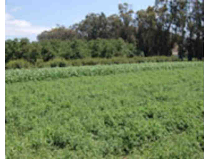 Family Season Pass Gift Certificate to Underwood Family Farms