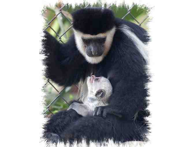 Family Pass for 4 to the Santa Ana Zoo