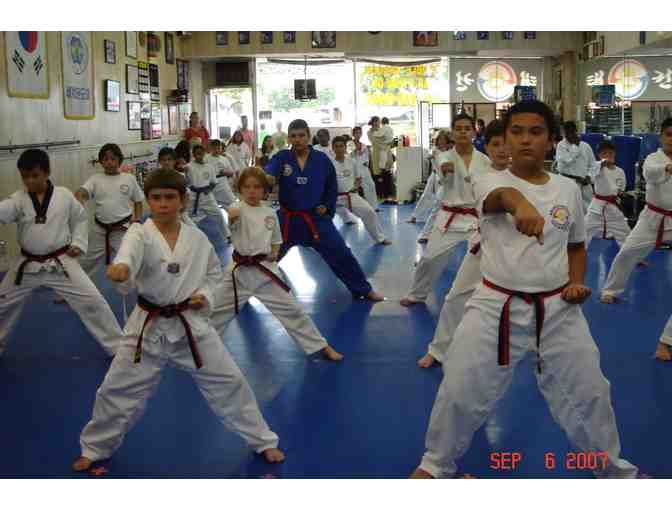 1 Month of Classes at Double Dragon Tae Kwon Do