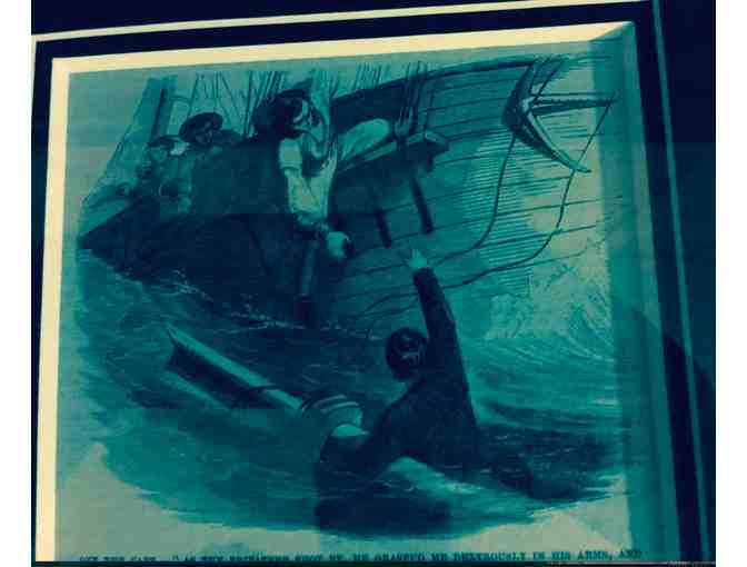 Nautical Antique Artwork, Illustrated in late 19th century - framed set