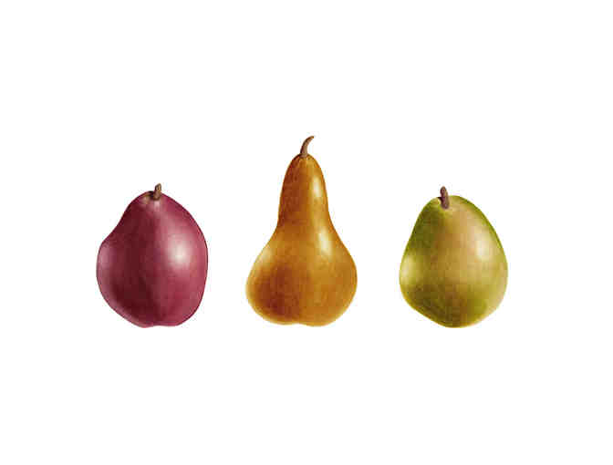 'Pacific Northwest Pears' (Montgomerie)