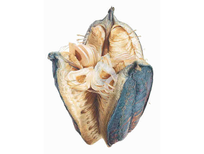 ASBA Annual Conference - One Seat in Workshop by  Fiona Strickland and Robert Mc Neil