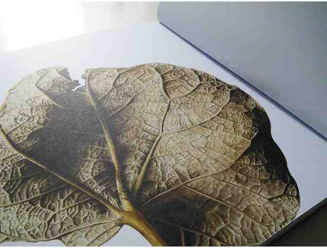 'Leafscape' - Book of Botanical Art of Jess Shepard  (Includes pack of 10 Greeting Cards