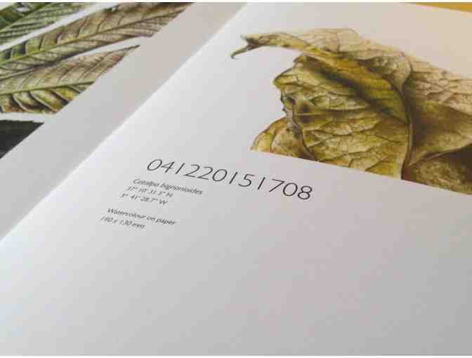 'Leafscape' - Book of Botanical Art of Jess Shepard  (Includes pack of 10 Greeting Cards