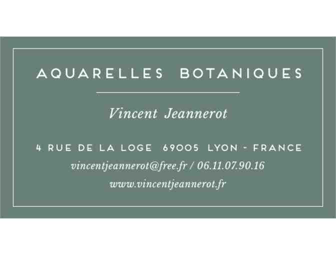 'Regards' Book by Vincent Jeannerot