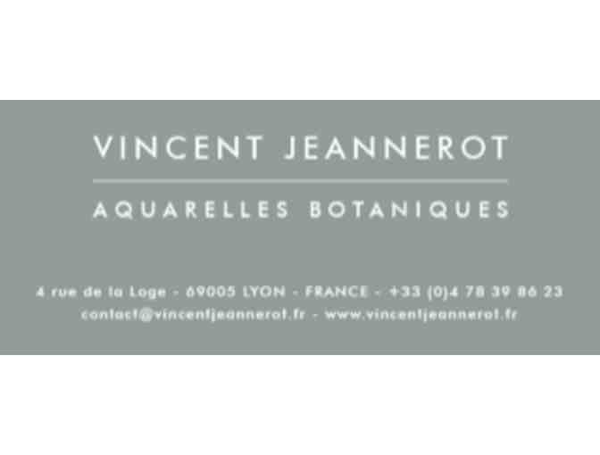 One-On-One Technique Session with Vincent Jeannerot - 30 Minutes