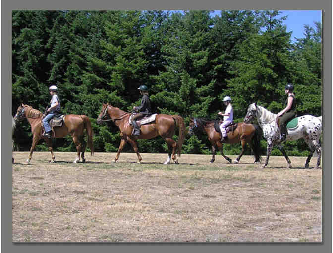 1 Hour Trail Ride - Westside Stables - Vashon, WA