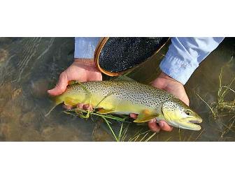 Seven Nights at Spotted Horse Ranch