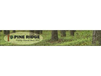 Pine Ridge Plantation Hunt