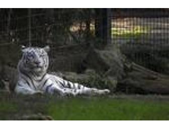 Montgomery Zoo Summer Camp