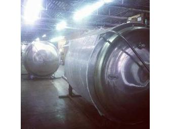 Day with a Brewmaster for 6