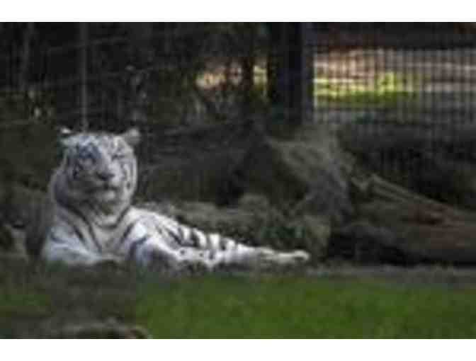 Montgomery Zoo Summer Camp