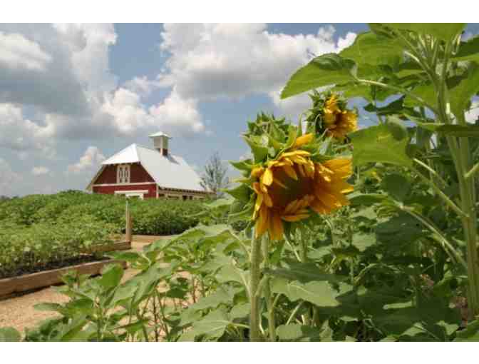 Beer Tasting for Six