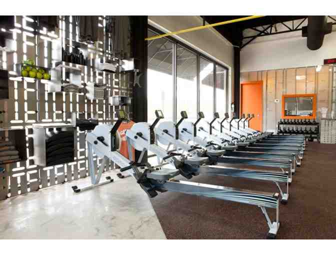 Iron Tribe Fitness 101