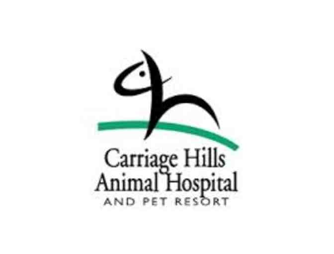 Pet Boarding (3 nights) & Spa Bath at Carriage Hills
