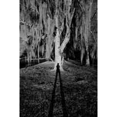 Elmore DeMott Photography