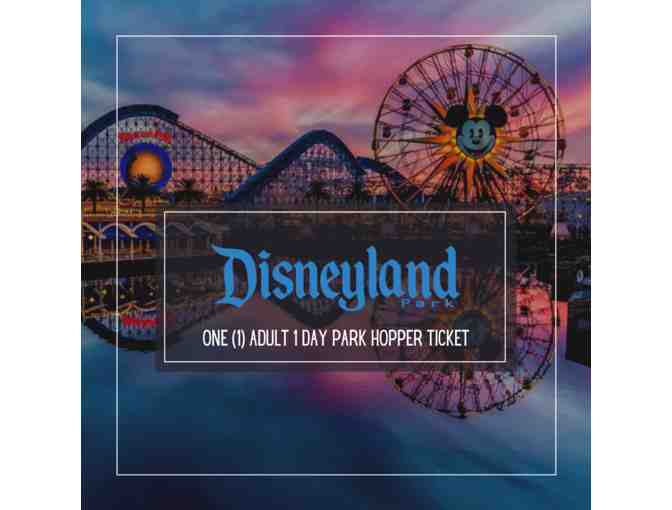Disneyland Resort Ticket Package