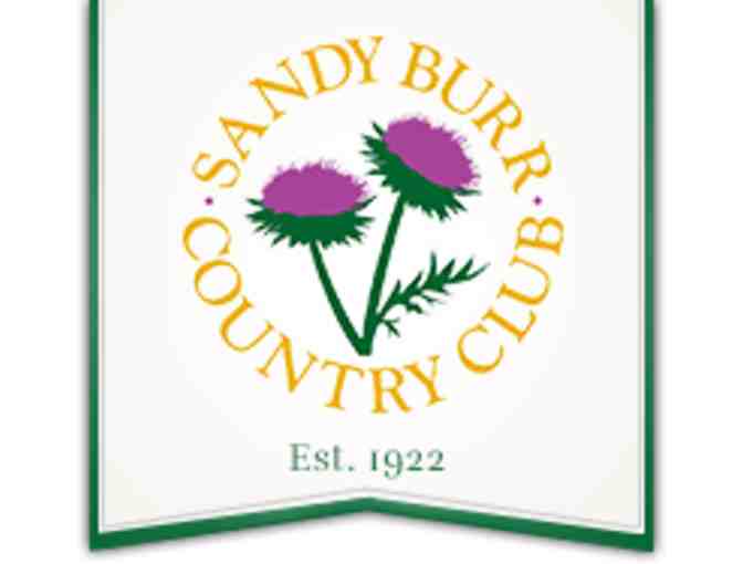 Foursome at Sandy Burr Country Club - Wayland