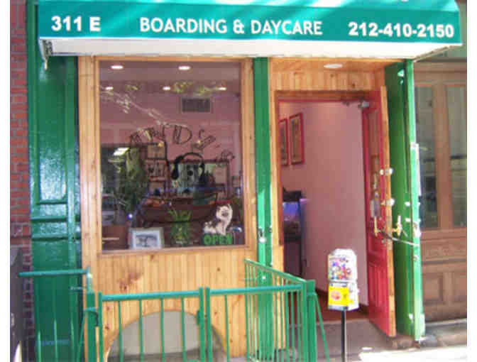 Sandy's Doggie and Kitty Spa