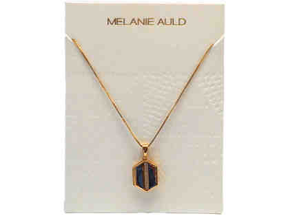 Melanie Auld Necklace and Locket