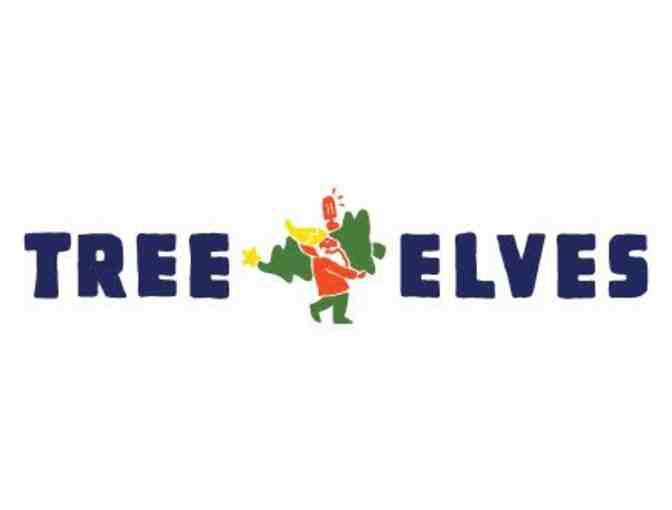 King of Pops Tree Elves Christmas Tree Delivery!
