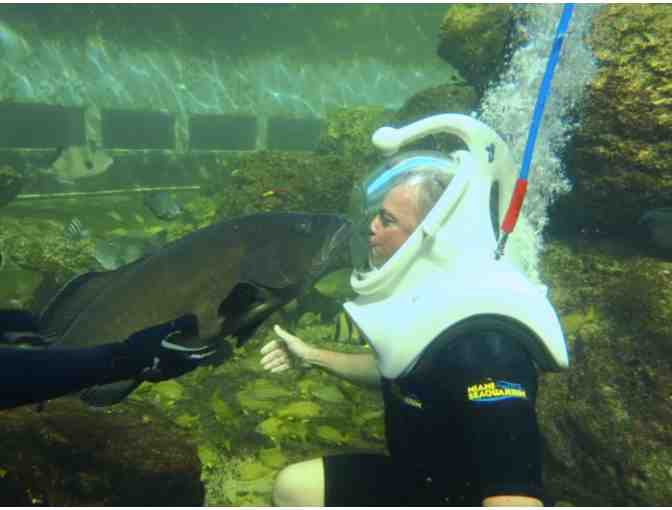 2 Sea Trek Reef Encounter certificates - Miami Seaquarium