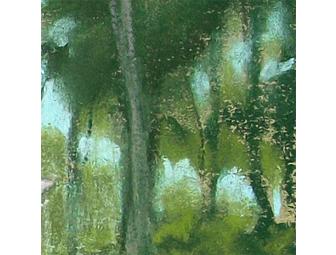 Rose Garden at Capron Park