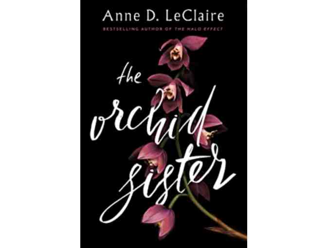 A Live Item - Once in a Lifetime Book CLub with Anne LeClaire!