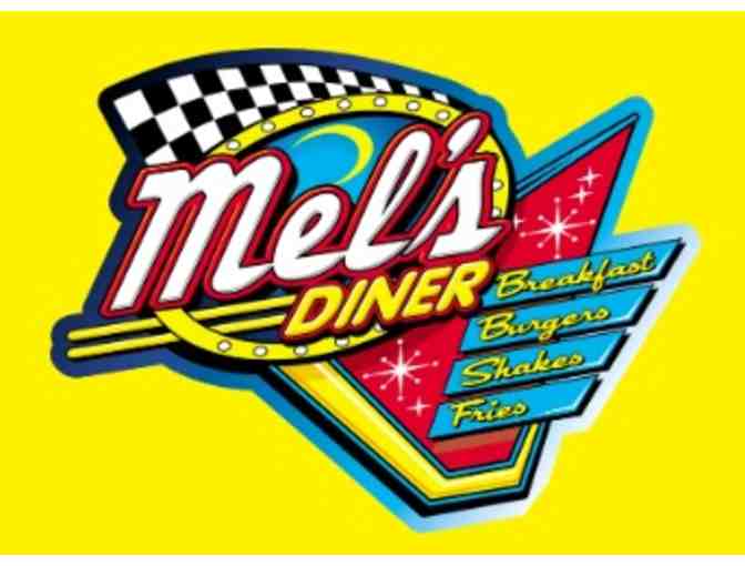 Pigeon Forge Vs Gatlinburg TN Adventures