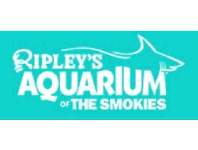 Pigeon Forge Vs Gatlinburg TN Adventures