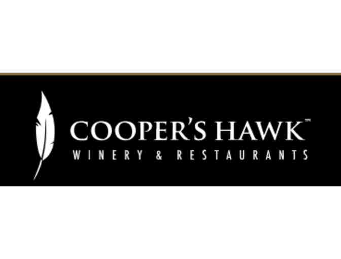 Cooper's Hawk - Photo 1