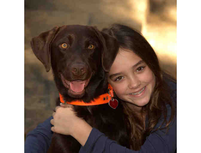 11x14 Family Portrait. Pets welcome!