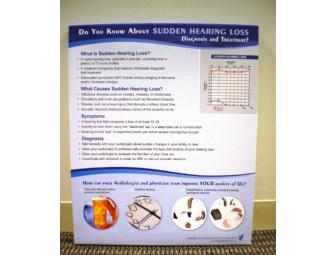 Set of Two Audiology Canvas Posters